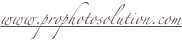 shapeimage_5_link_0